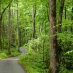 Roaring Fork Motor Nature Trail UTV Ride